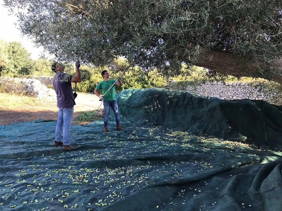 Casa di campagna Affittacamere Casa Farfaglia Noto